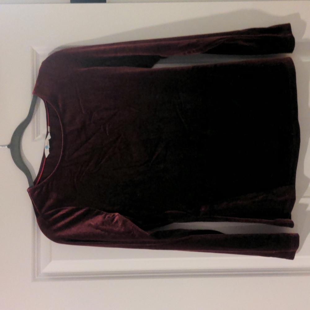 Barely worn, velvet scoop neck shirt.